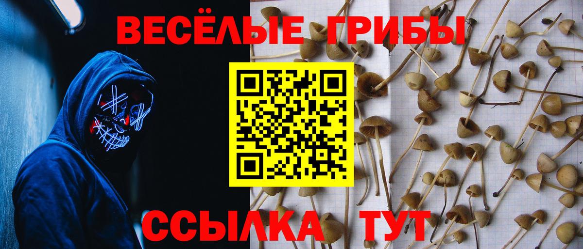 Галлюциногенные грибы GOLDEN TEACHER  Вход с VPN  Алатырь 